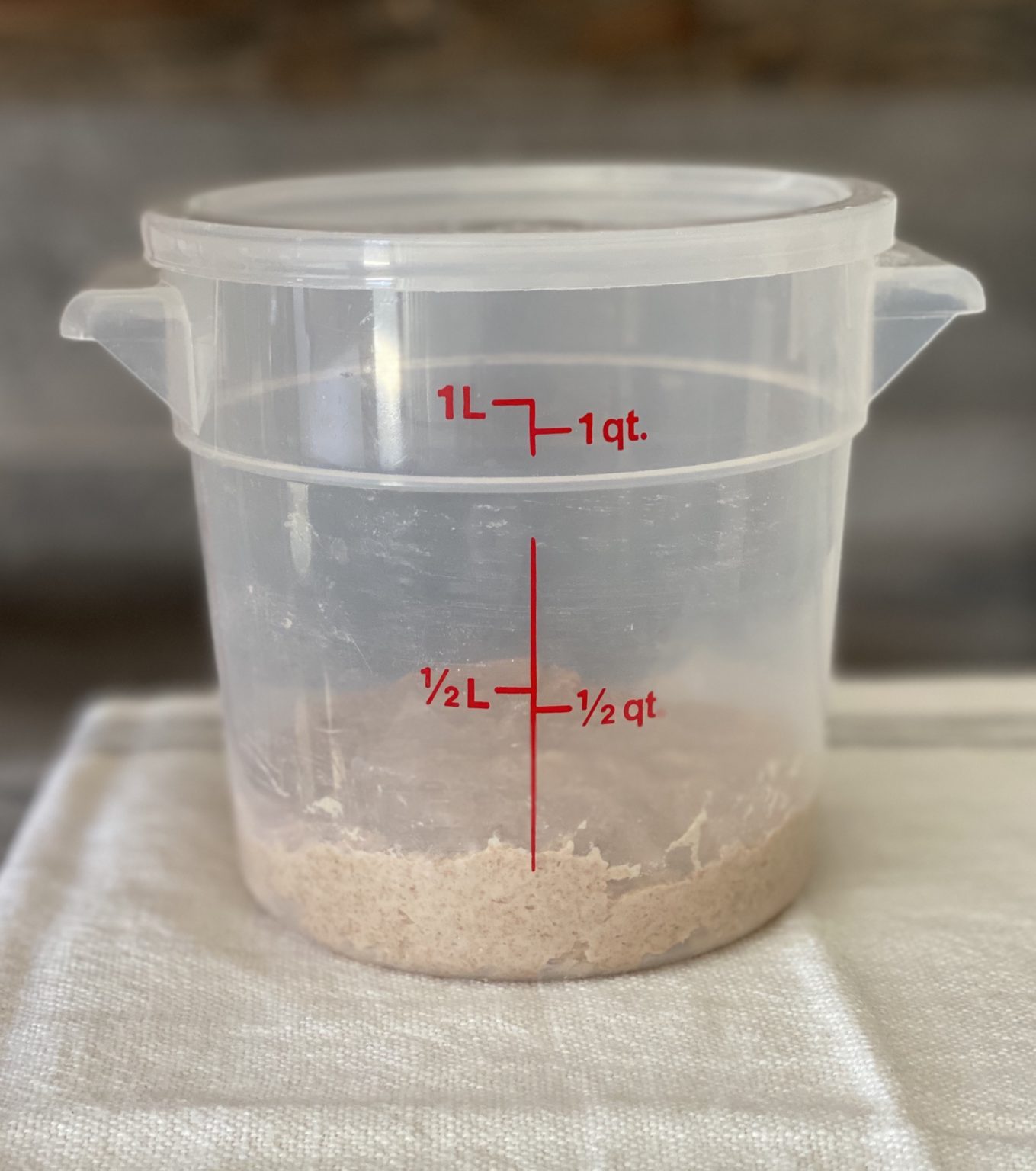 How To Feed/Refresh Your Sourdough Starter – gristandtoll